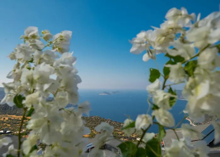 Mazara Villa Kas